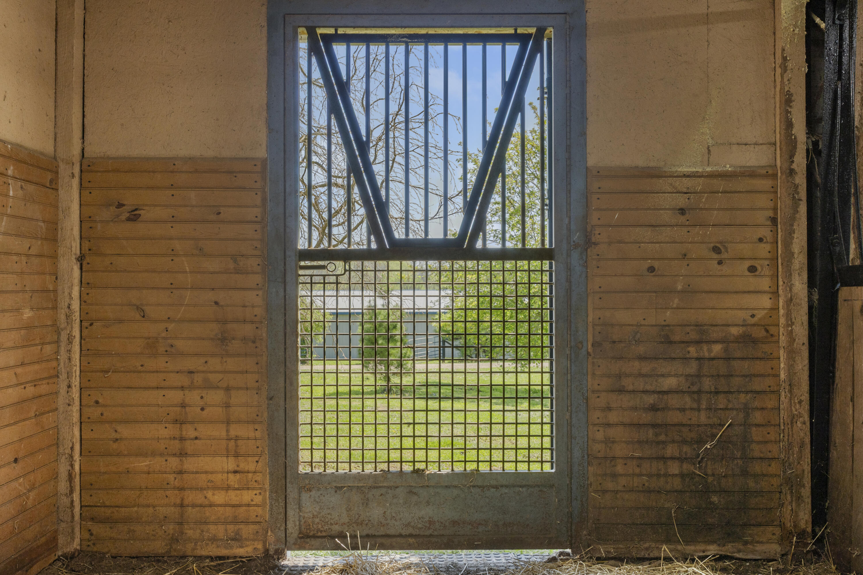 583 College Road Paris, KY 40361 - Photo 23 of 39 I82A9078