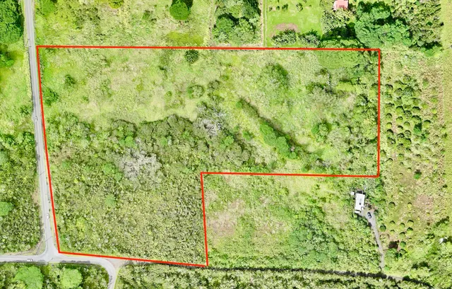 a view of a yard with wooden fence