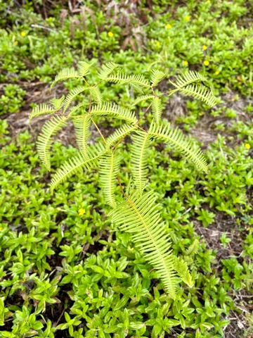 a view of a basketball court