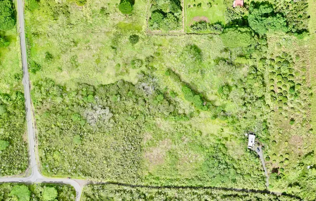 a view of an ocean and beach