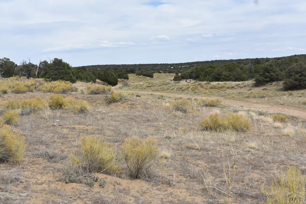 87-119 Twin Lakes Road Walsenburg, CO 81089 - Photo 8 of 21