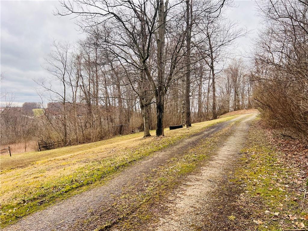 297 Oden Road Ruffs Dale, PA 15679 - Photo 3 of 24 a view of empty space with trees