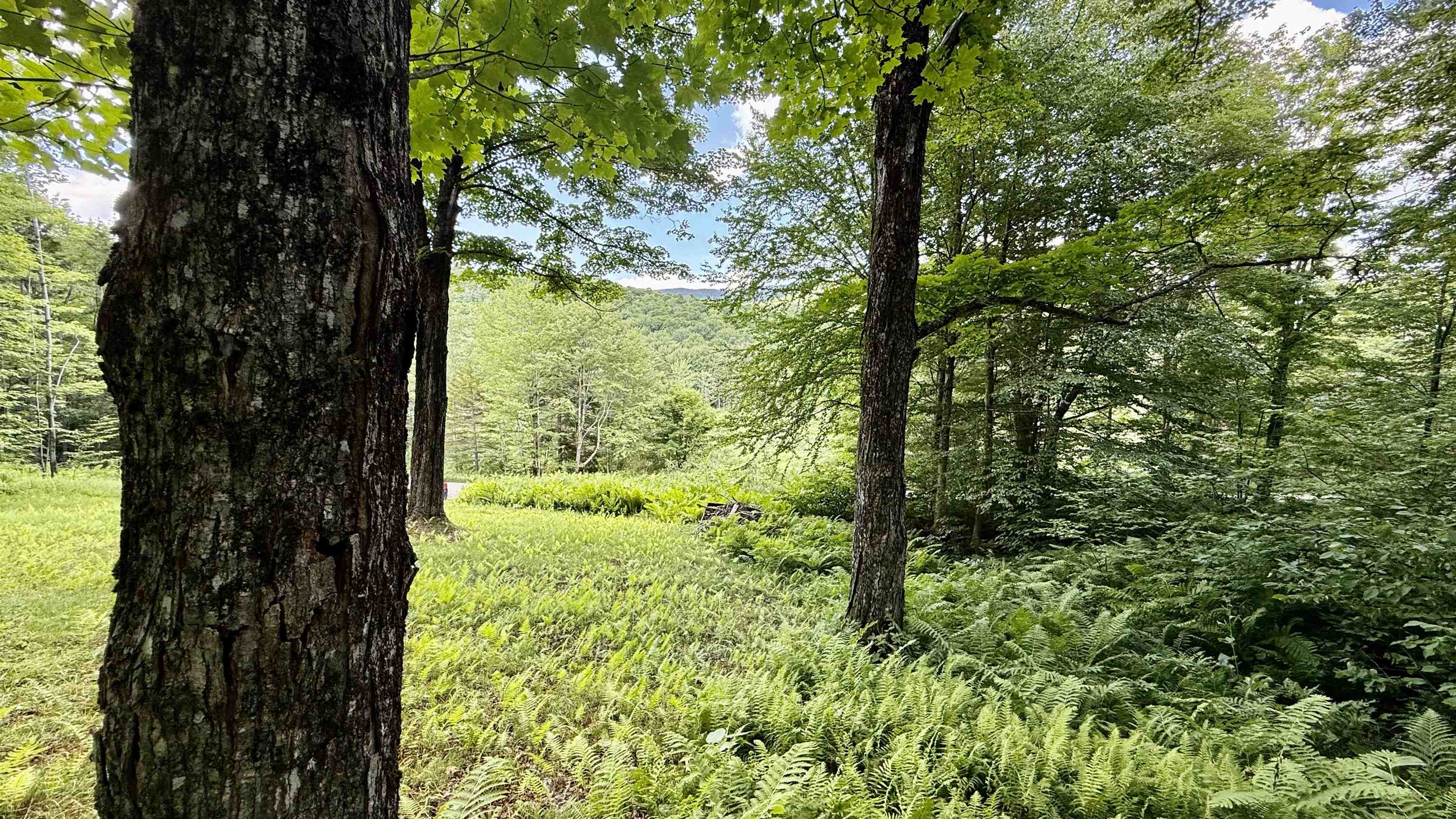 2075 Codding Hollow Road Johnson, VT 05656 - Photo 9 of 59