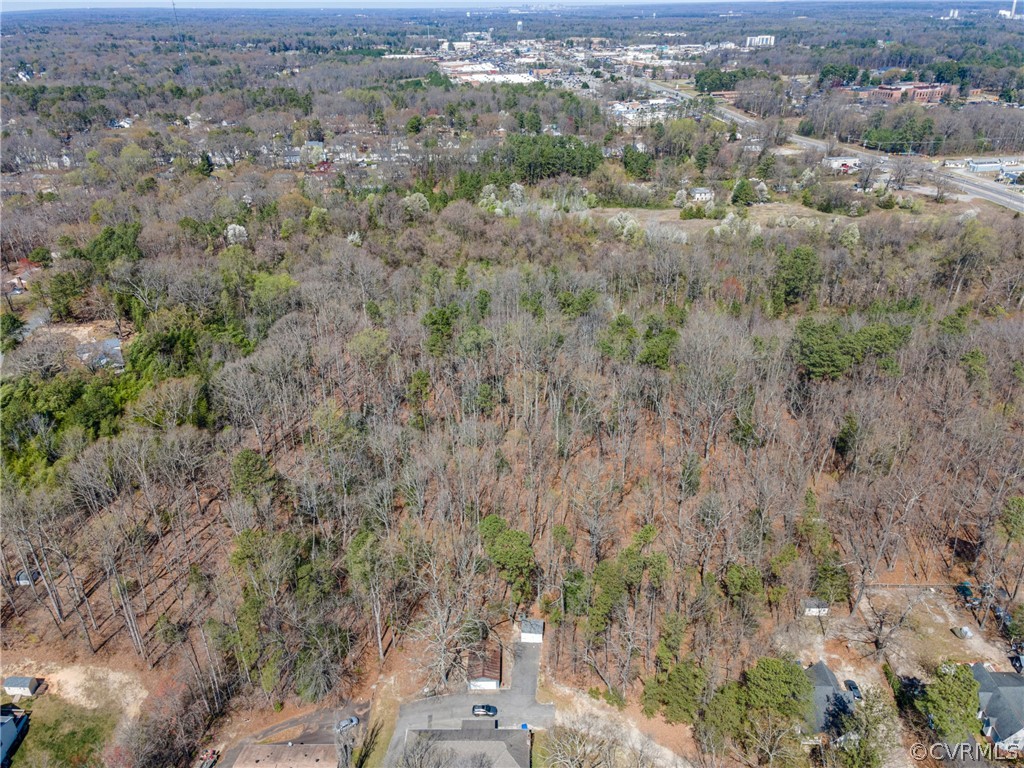 2700 Forest Lake Road Chester, VA 23831 - Photo 41 of 45 Gallery Image 41