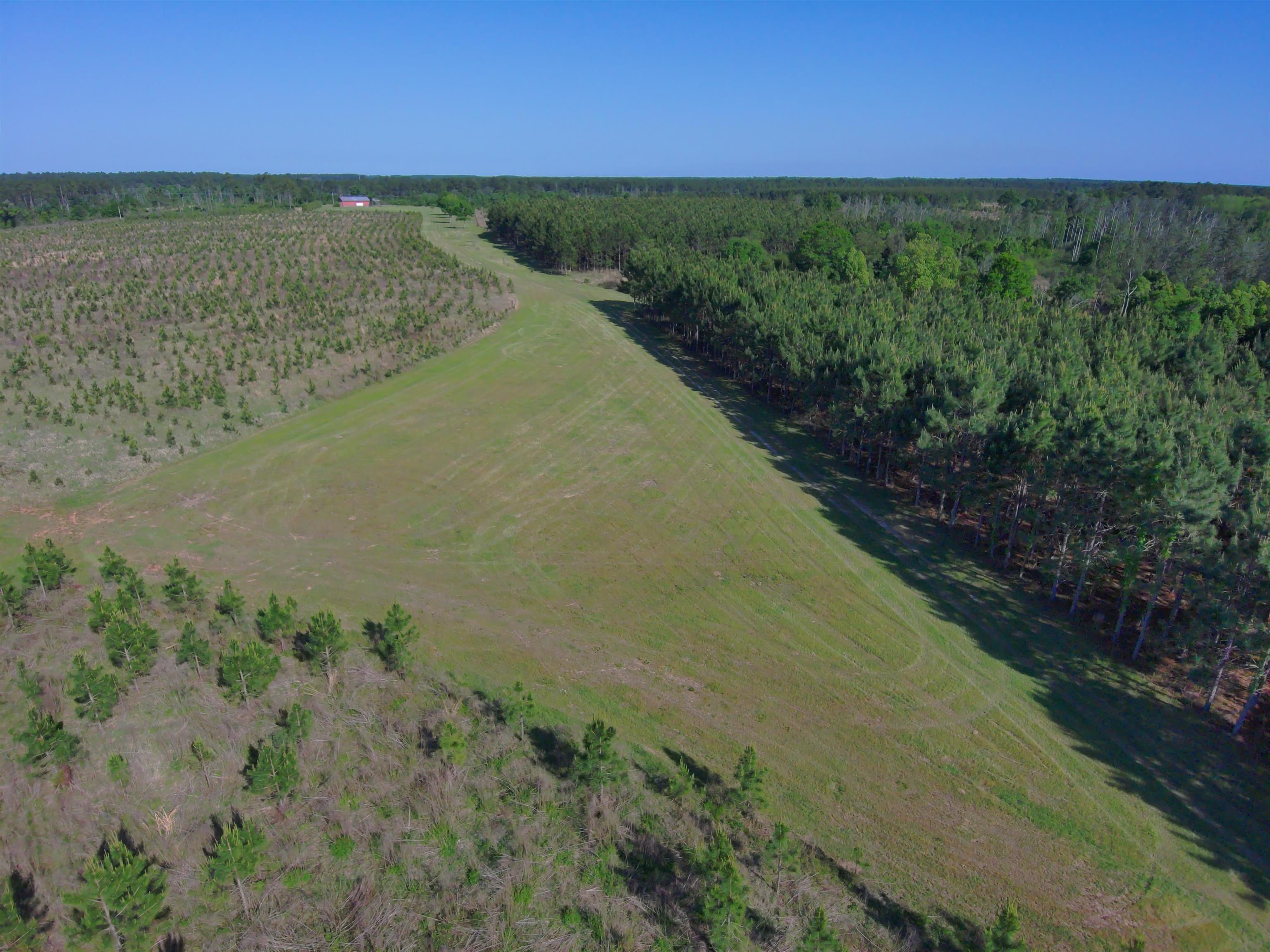 87 County Road 87 Elberta, AL 36530 - Photo 22 of 66 Aerial View