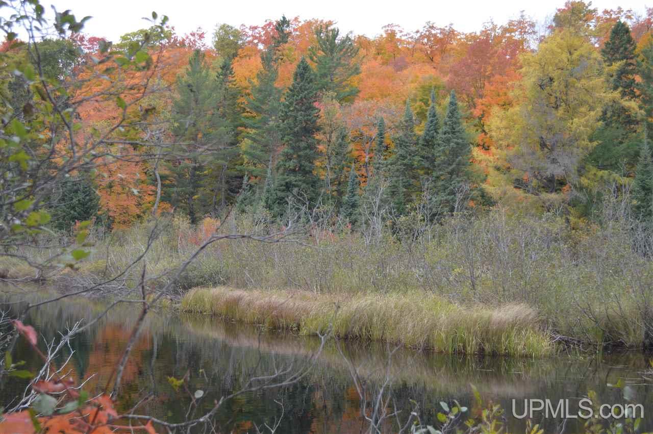 Tbd Peshekee Grade Road Skanee, MI 49962 - Photo 28 of 35