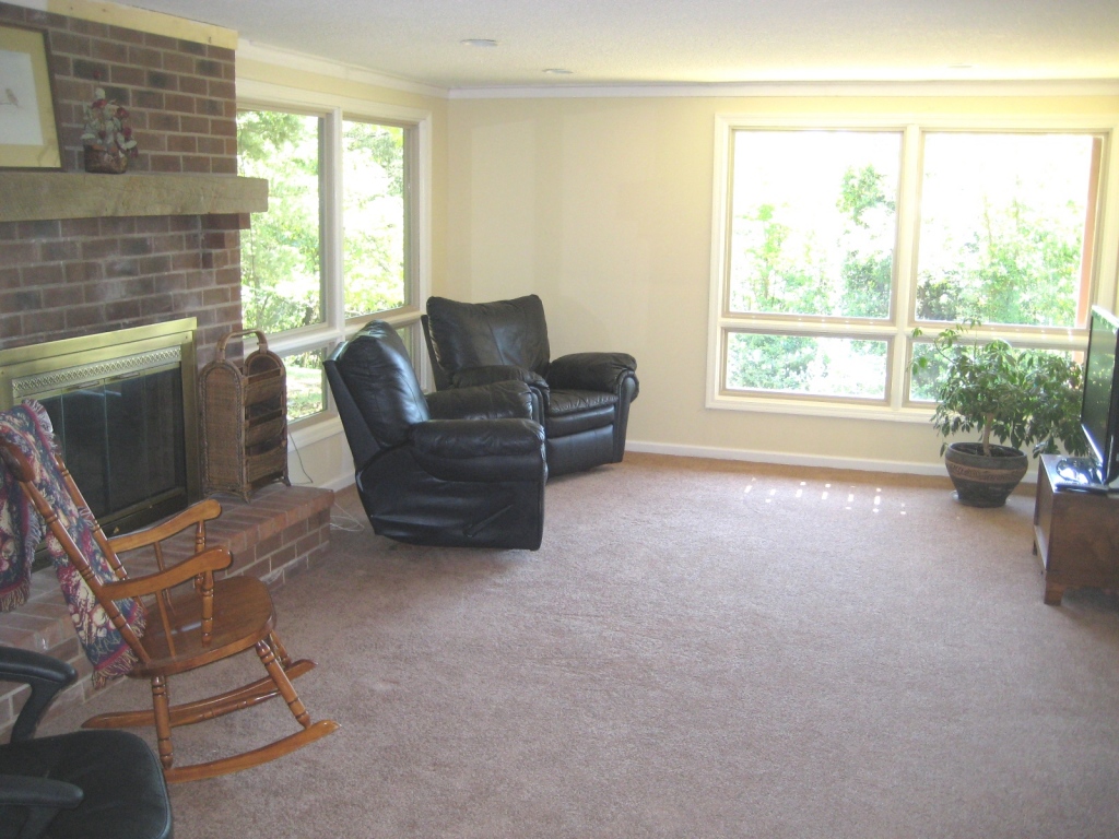 908 Skyview Road Salem, VA 24153 - Photo 14 of 21 a living room with furniture and a window