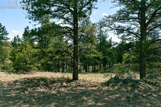 Lot 60 B Road Guffey, CO 80820 - Photo 20 of 28
