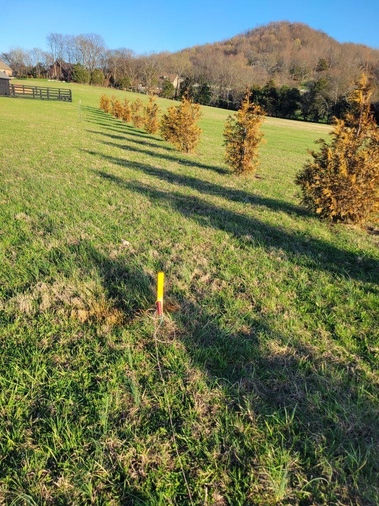 2075 Allisona Road Eagleville, TN 37060 - Photo 16 of 18 a view of an ocean from a mountain