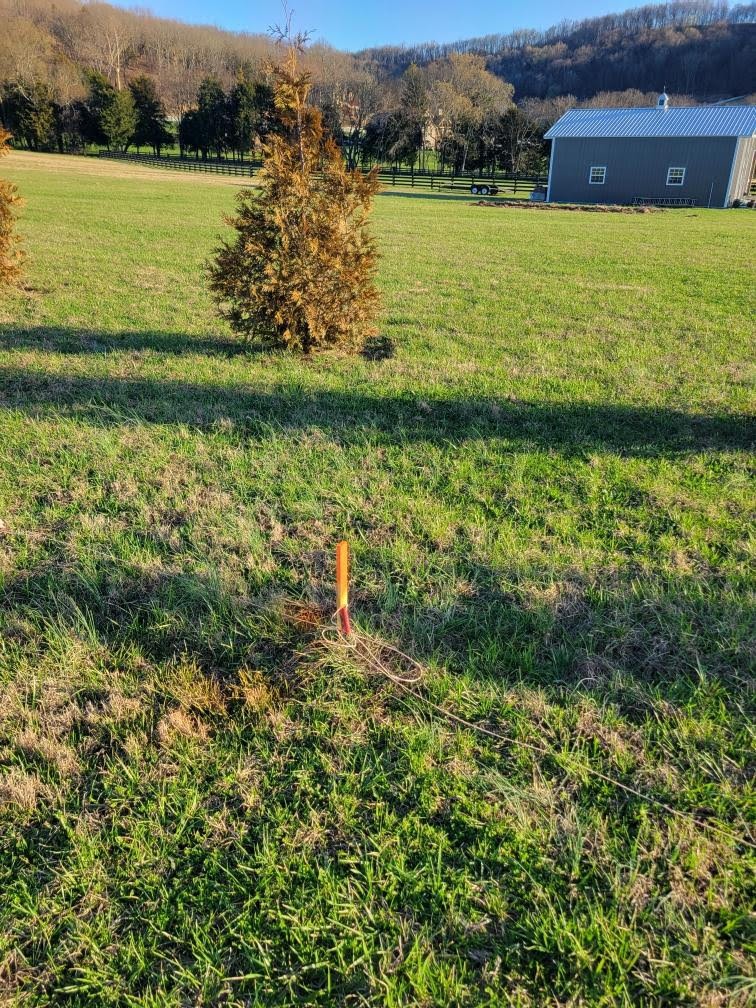 2075 Allisona Road Eagleville, TN 37060 - Photo 17 of 18 a view of a lake with a mountain