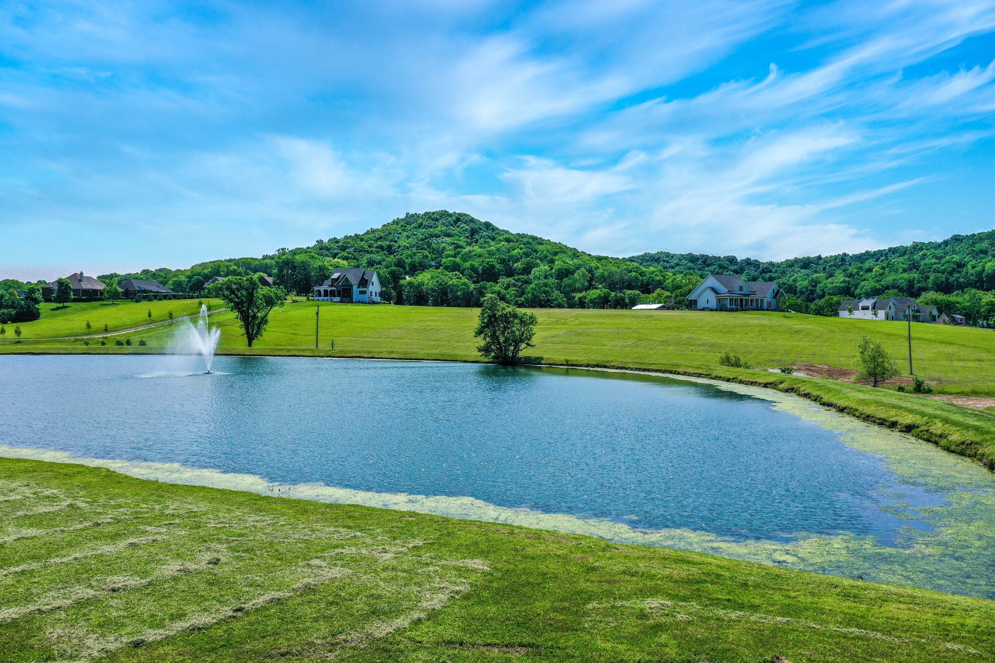 2075 Allisona Road Eagleville, TN 37060 - Photo 2 of 18 a view of an outdoor space and a yard