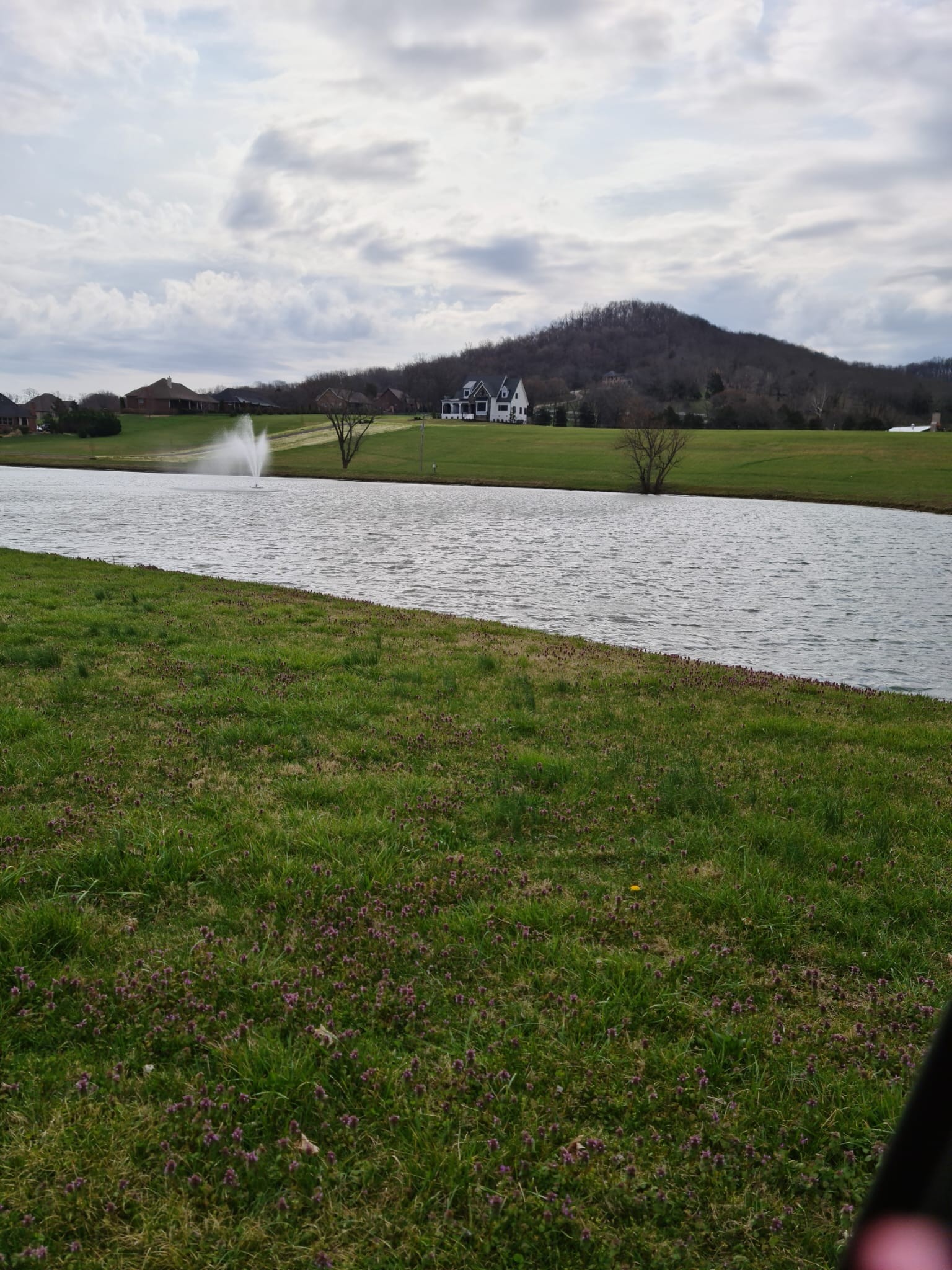 2075 Allisona Road Eagleville, TN 37060 - Photo 5 of 18 a view of a lake with houses in the back