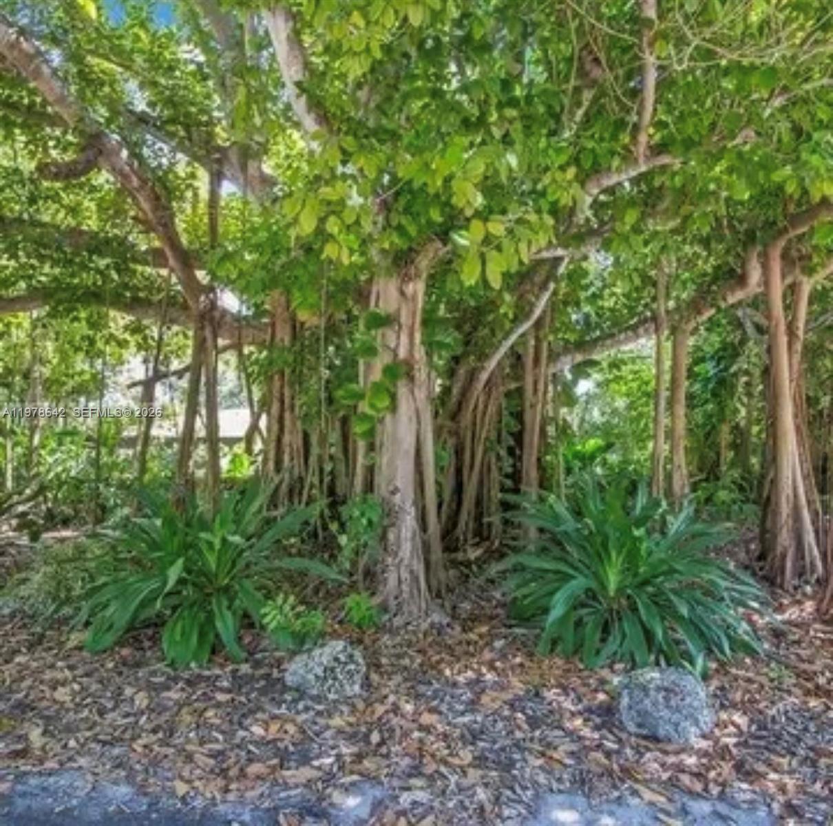 4895 Southwest 88th Street Miami, FL 33143 - Photo 20 of 21 a backyard of a house with lots of green space
