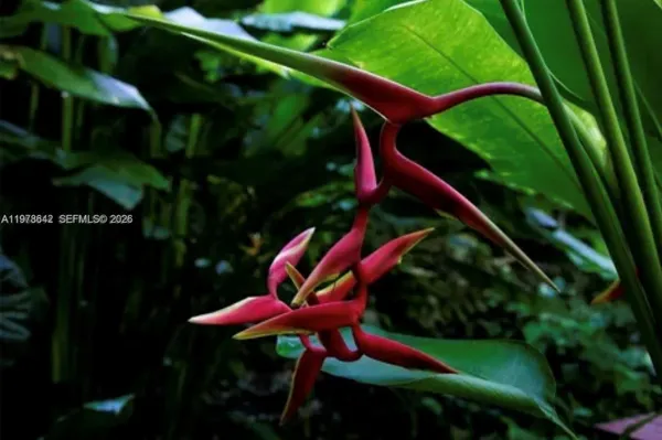 a view of an outdoor space