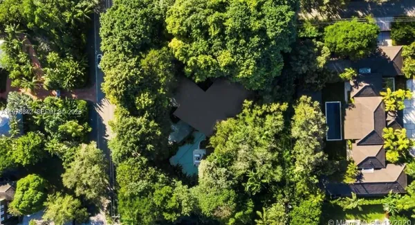 a plant that is in a garden