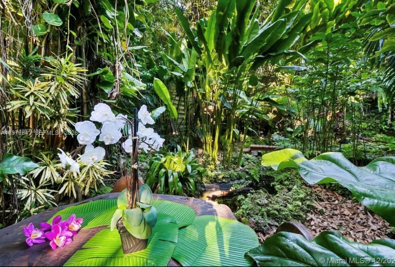 4895 Southwest 88th Street Miami, FL 33143 - Photo 5 of 21 a view of a flower