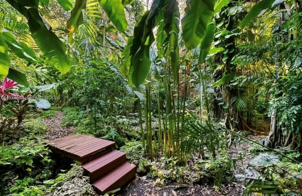 a view of a backyard