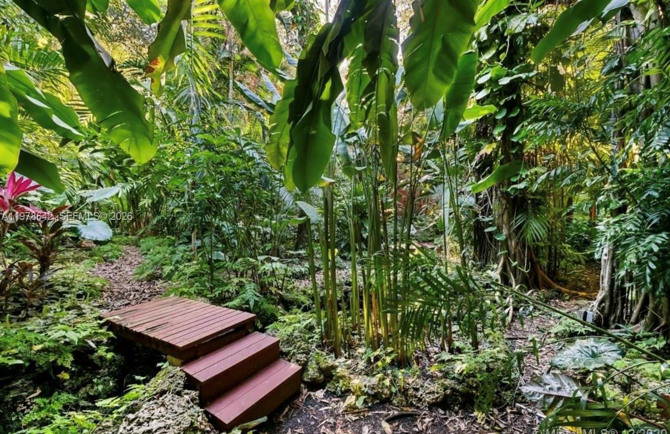 4895 Southwest 88th Street Miami, FL 33143 - Photo 6 of 21 a view of a backyard