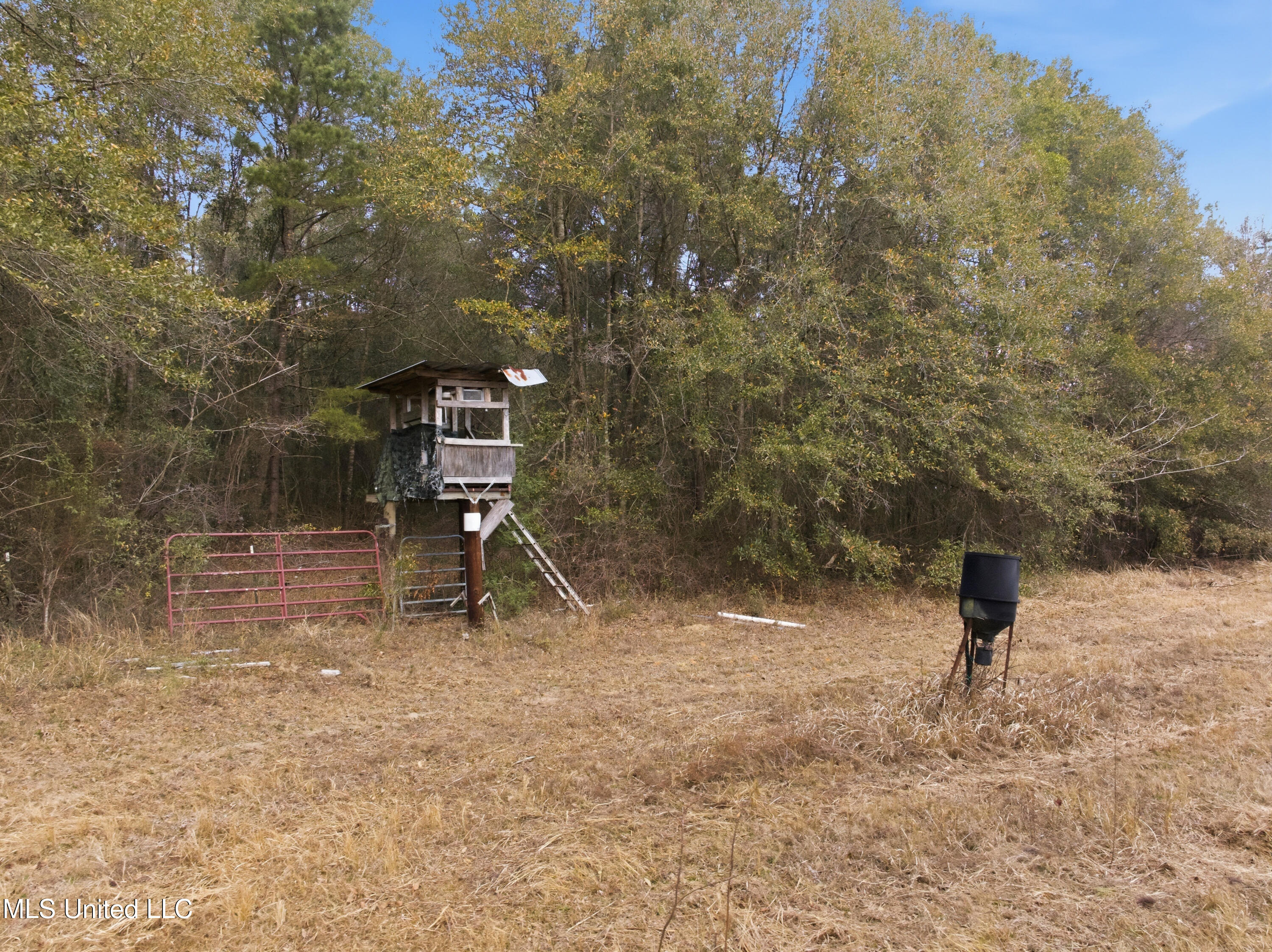 2133 Salem Campground Road Lucedale, MS 39452 - Photo 53 of 58 2133_Salem_Campground_Rd-53