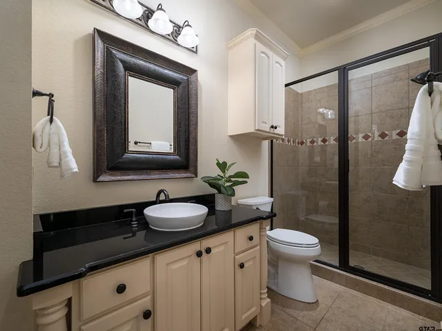 a bathroom with a granite countertop sink toilet and shower