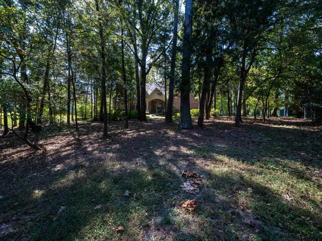 a view of outdoor space with trees