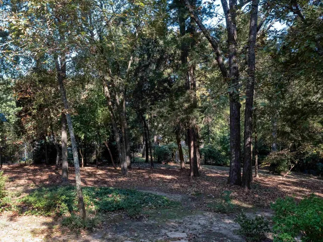 a view of outdoor space and tree