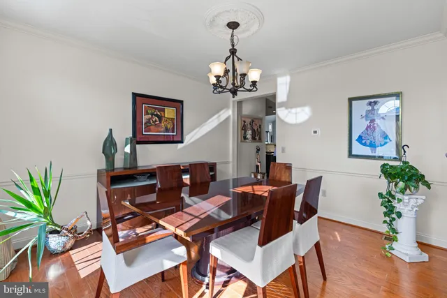 a dining room with furniture potted plants and wooden floor