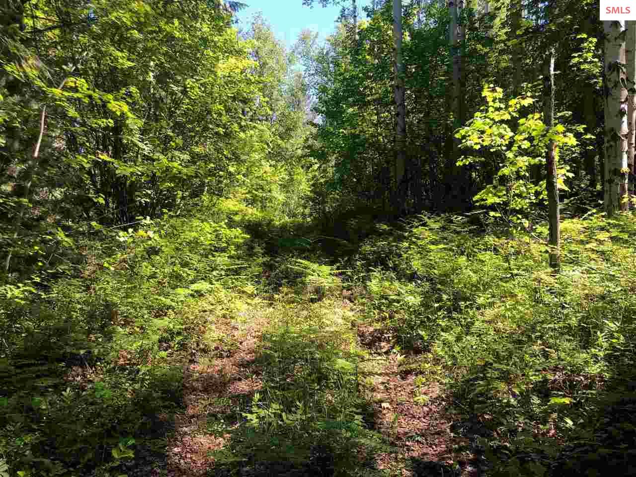 20-acres Highlands Road Sandpoint, ID 83864 - Photo 15 of 20 Gallery Image 15