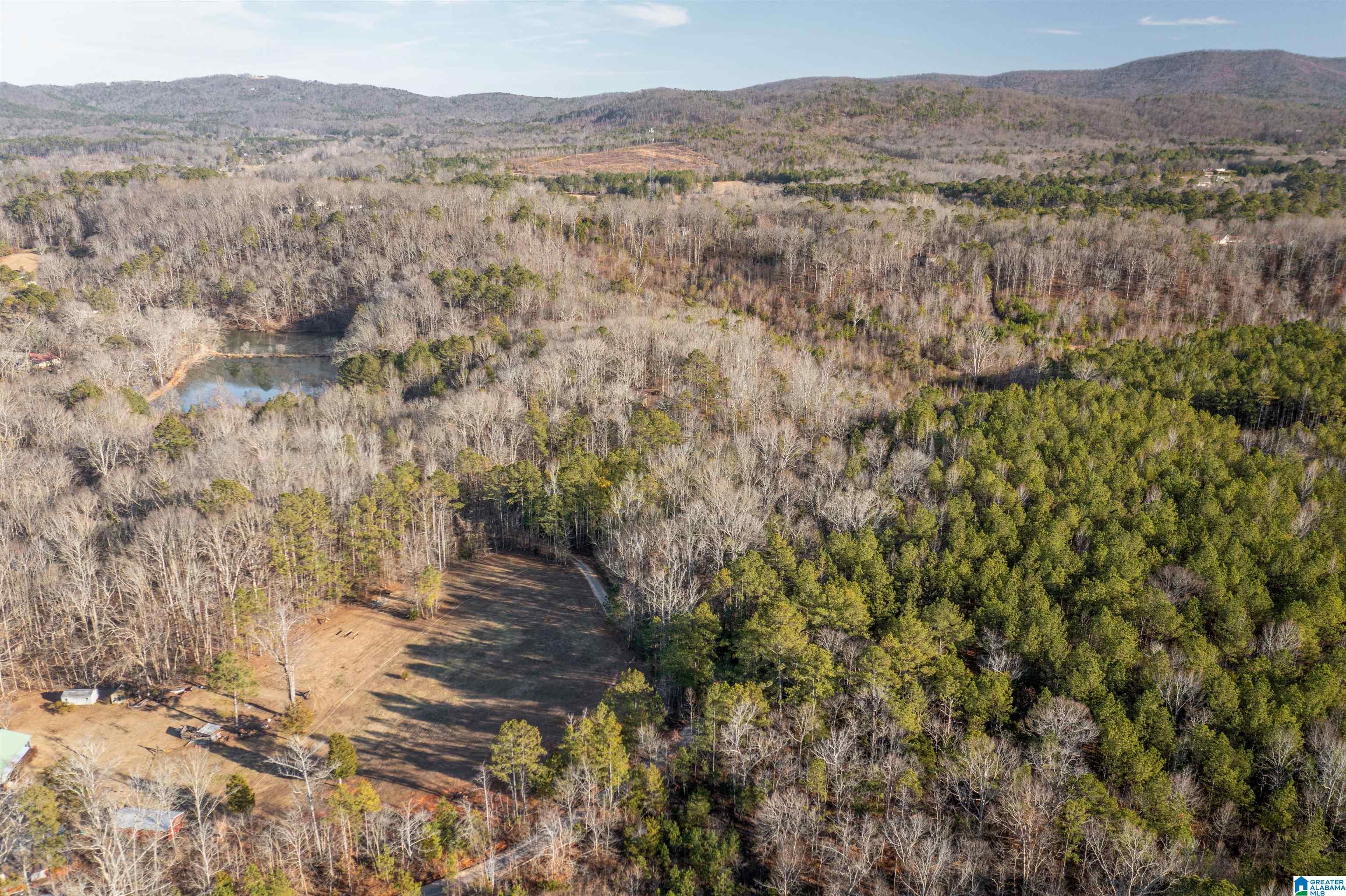 487 Aderholdt Mill Road Jacksonville, AL 36265 - Photo 11 of 34