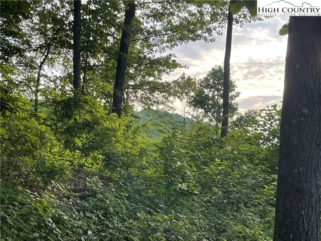 a view of a yard with a tree