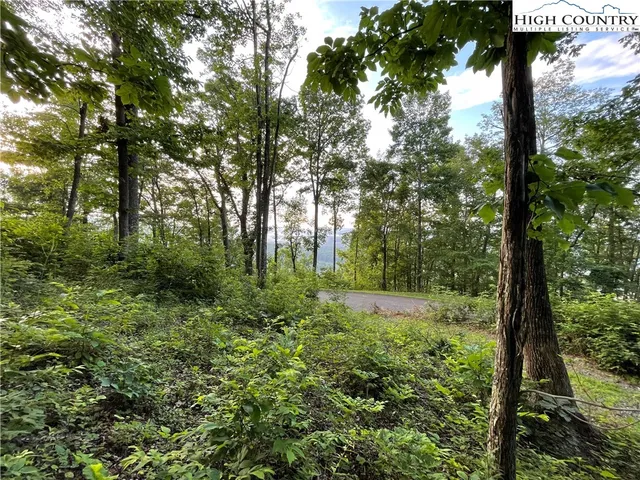 a view of backyard with green space
