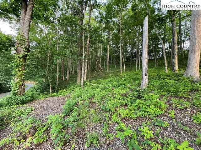 a view of outdoor space and trees all around