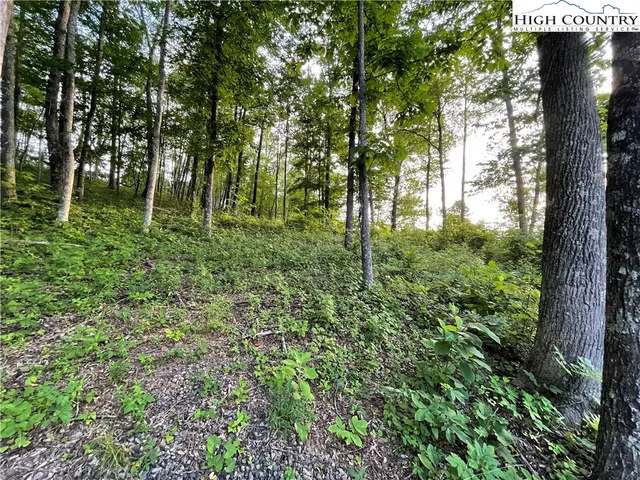 a view of backyard with green space