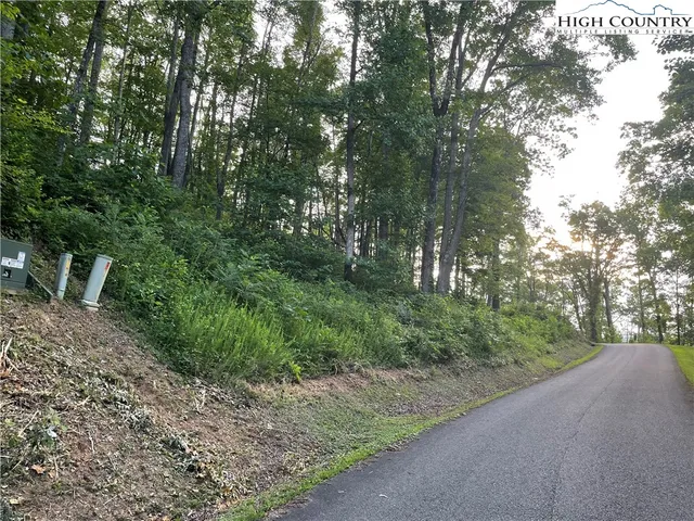 a view of a yard with plants and large trees