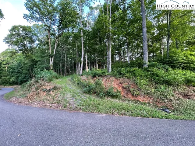 a view of backyard with green space