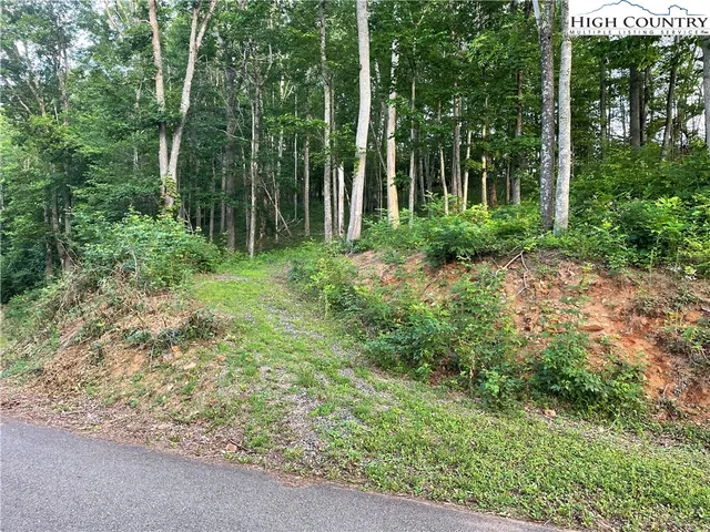 a view of backyard with green space