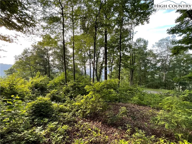 a view of outdoor space and trees