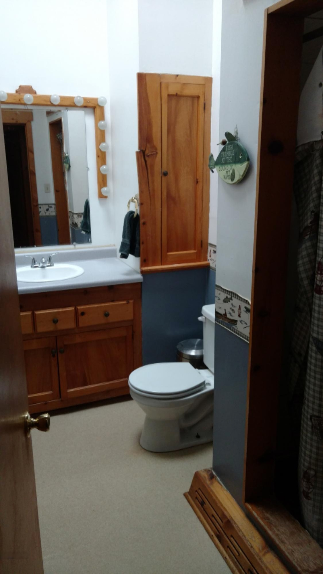 8733 48th Street Augusta, MI 49012 - Photo 28 of 47 IMG_20160626_171247227 (1)