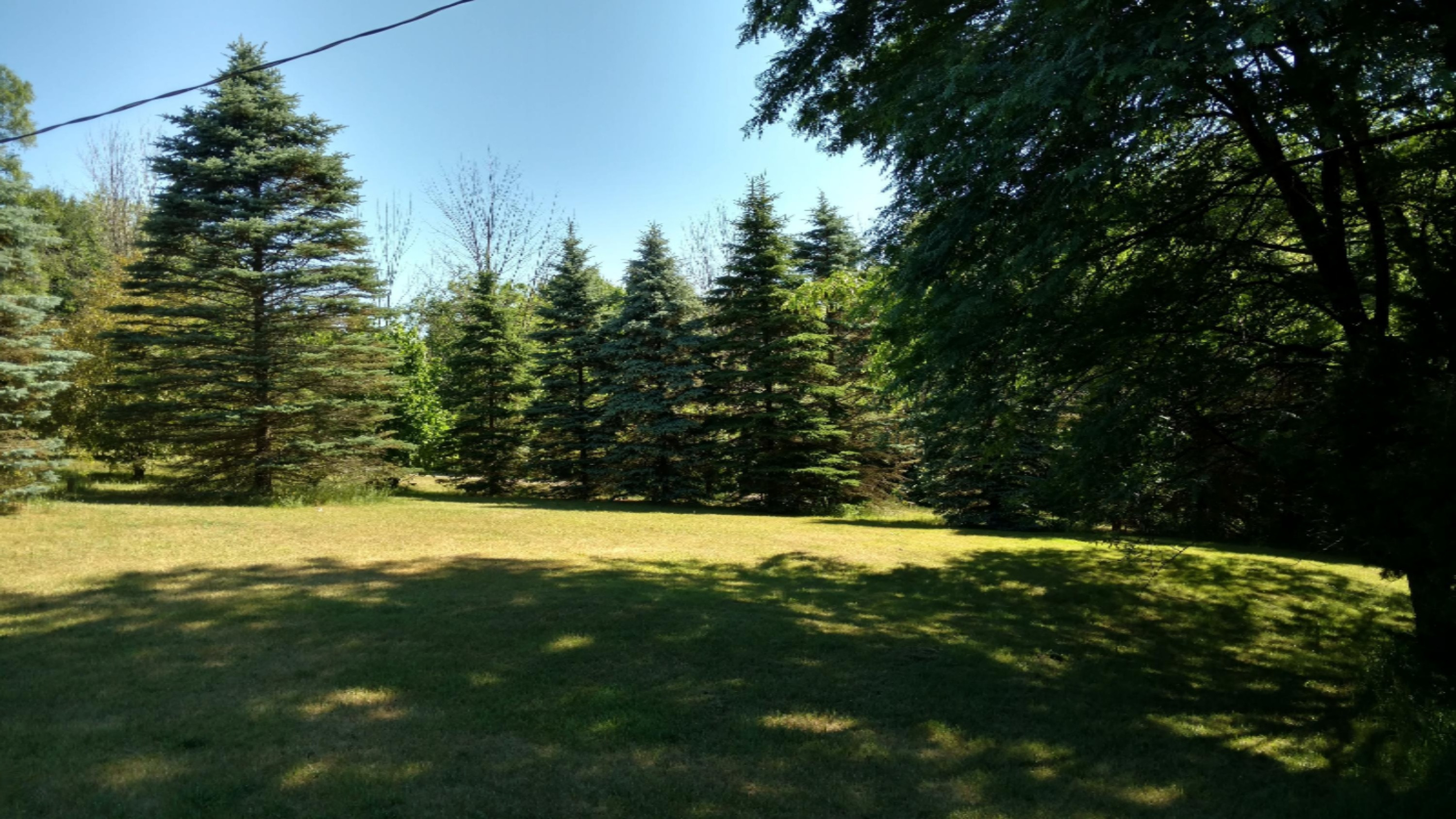 8733 48th Street Augusta, MI 49012 - Photo 45 of 47 IMG_20160621_101918339_HDR