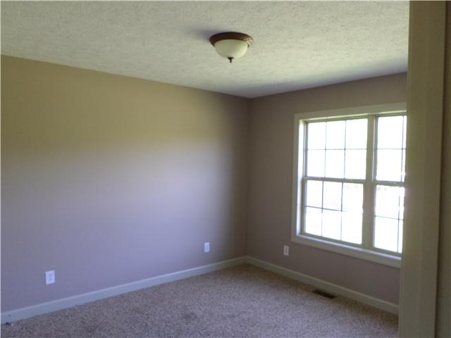 305 Brummitt Road Castalian Springs, TN 37031 - Photo 11 of 16 Gallery Image 11