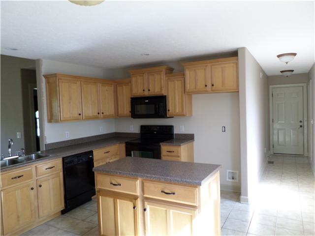 305 Brummitt Road Castalian Springs, TN 37031 - Photo 5 of 16 Gallery Image 5