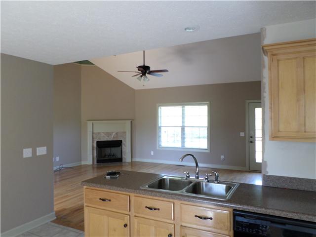 305 Brummitt Road Castalian Springs, TN 37031 - Photo 7 of 16 Gallery Image 7