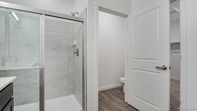 a bathroom with a shower and a toilet