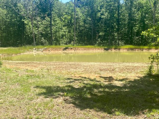 6742 Hamp Lea Road Magnolia, MS 39652 - Photo 1 of 23 Main View