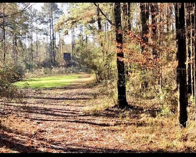 6742 Hamp Lea Road Magnolia, MS 39652 - Photo 19 of 23 Photo 19