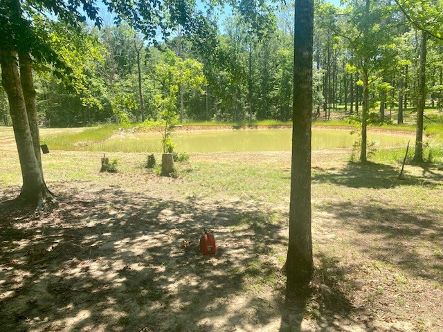 6742 Hamp Lea Road Magnolia, MS 39652 - Photo 23 of 23 Photo 26