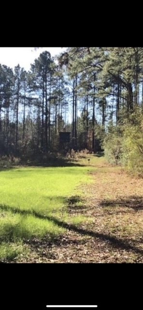 6742 Hamp Lea Road Magnolia, MS 39652 - Photo 3 of 23 Photo 3