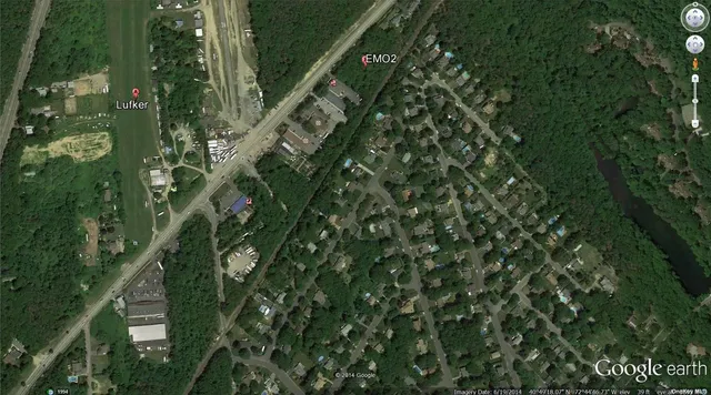 a close up of a plant