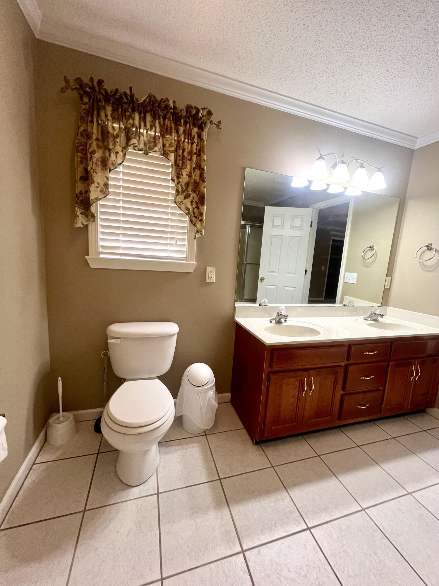 1065 Spring Meadows Drive Ringgold, GA 30736 - Photo 10 of 20 MASTER WITH DOUBLE VANITY