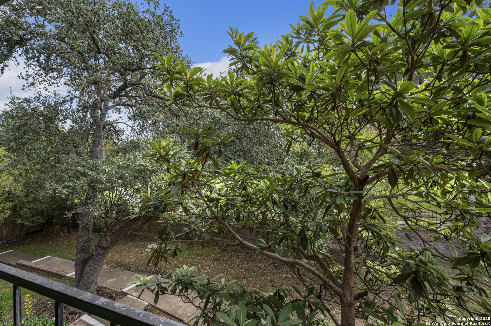 1819 Babcock Road, Unit 704 San Antonio, TX 78229 - Photo 24 of 28 a view of a lake with a tree